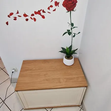 Apartment Meuble Centre *